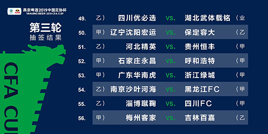 新澳2024年精准资料32期,新澳2024年精准资料32期深度解析