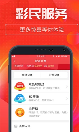 王中王493333中特1肖,王中王493333中特1肖，探索与解读