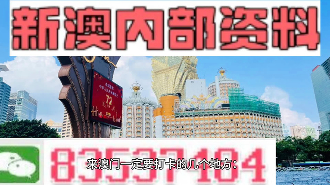 新澳内部资料精准大全,新澳内部资料精准大全，揭示犯罪风险与应对之道