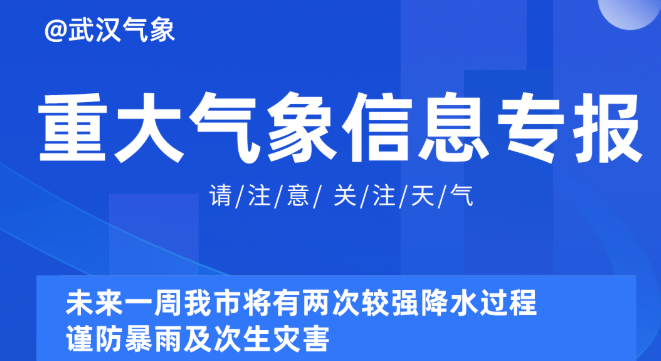 2025新奥资料免费精准051,探索未来，2025新奥资料的免费精准共享之旅（051）