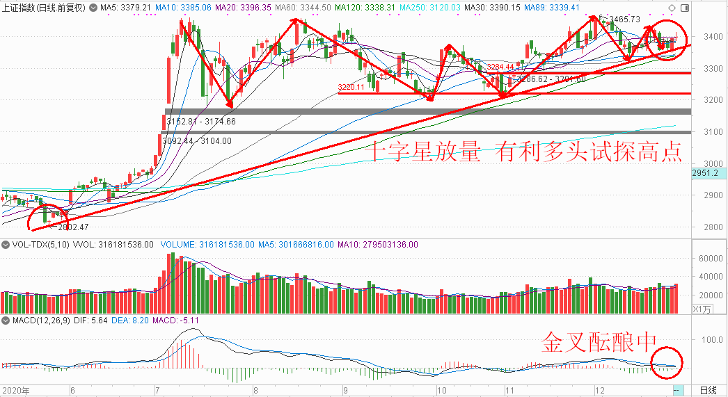 2025今晚特马开什么,关于今晚特马开什么的研究与预测——走向未来的视角（以文章标题为准）