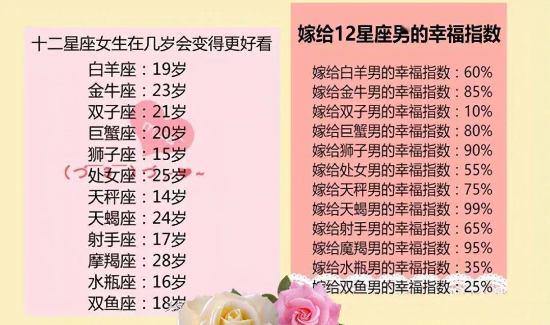 2025十二生肖49个码004期 04-49-26-19-30-44T：10,探索十二生肖与彩票密码，一场神秘数字的奇幻之旅