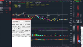 2025澳门特马今晚开奖一055期 02-06-23-31-34-45P：11,探索澳门特马，2025年一期的开奖奥秘