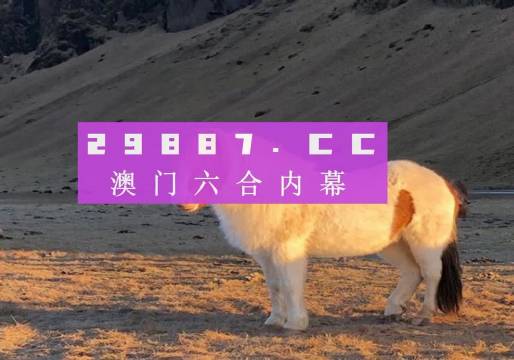 澳门一肖一码100127期 23-24-35-38-44-46R：25,澳门一肖一码的魅力，探索数字背后的秘密与期待