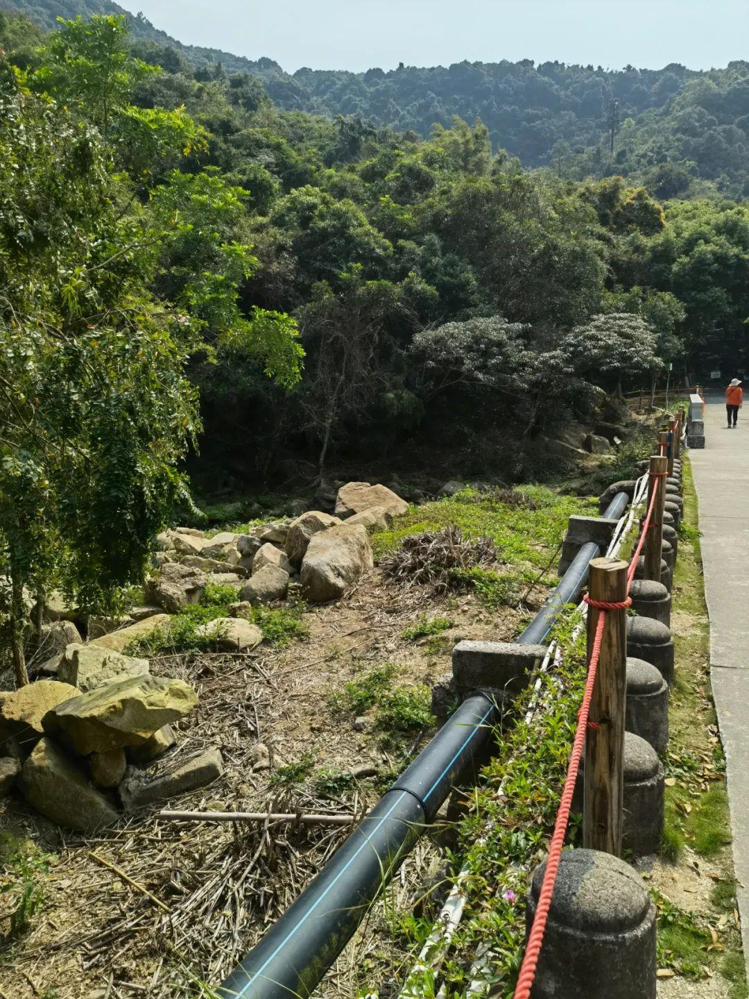 澳门雷锋心水论坛013期 02-03-05-08-09-39P：06,澳门雷锋心水论坛第013期，探索心水奥秘，传承雷锋精神——关键词解读与深度解析