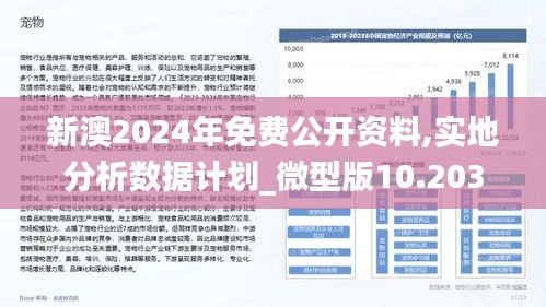 新澳2025精准正版免費資料100期 06-10-21-24-43-47V：20,新澳2025精准正版免费资料解析与探索（第100期）